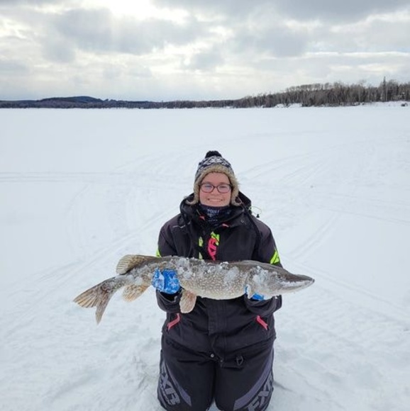 Meet your Posher, Alexandra - Picture 1 of 1